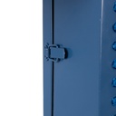 Cruz de veterinaria doble cara 50*50cm EXTERIOR color azul input AC100-240V con control remoto